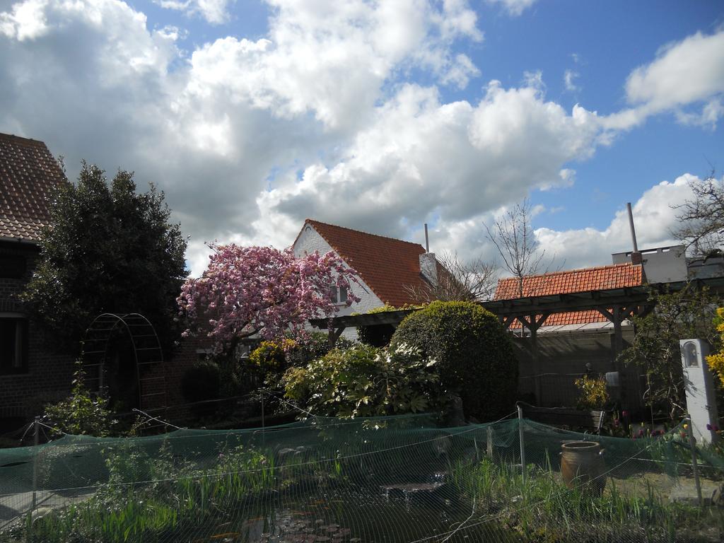 Het Margrietje Villa Merkem Luaran gambar