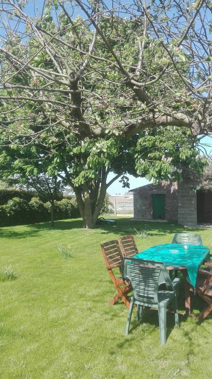 Het Margrietje Villa Merkem Luaran gambar