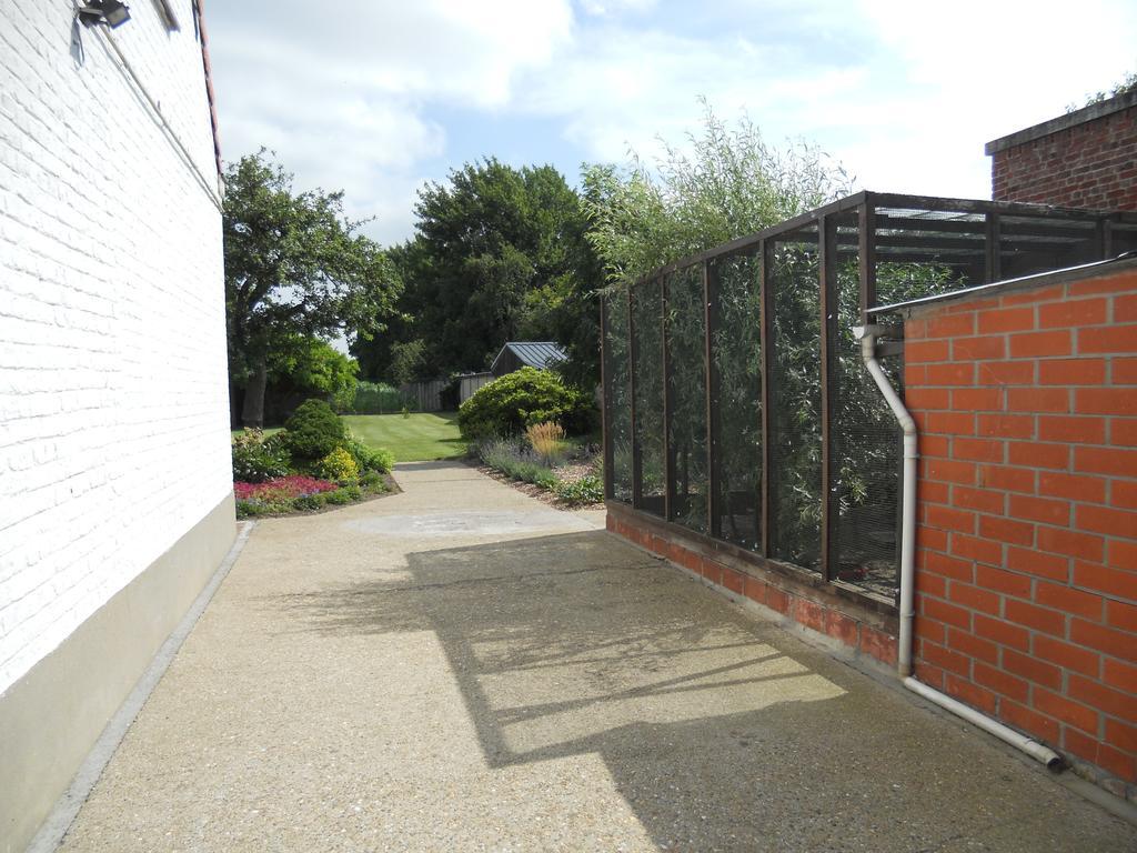 Het Margrietje Villa Merkem Luaran gambar