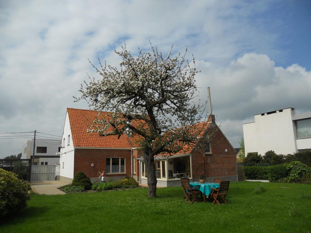 Het Margrietje Villa Merkem Luaran gambar